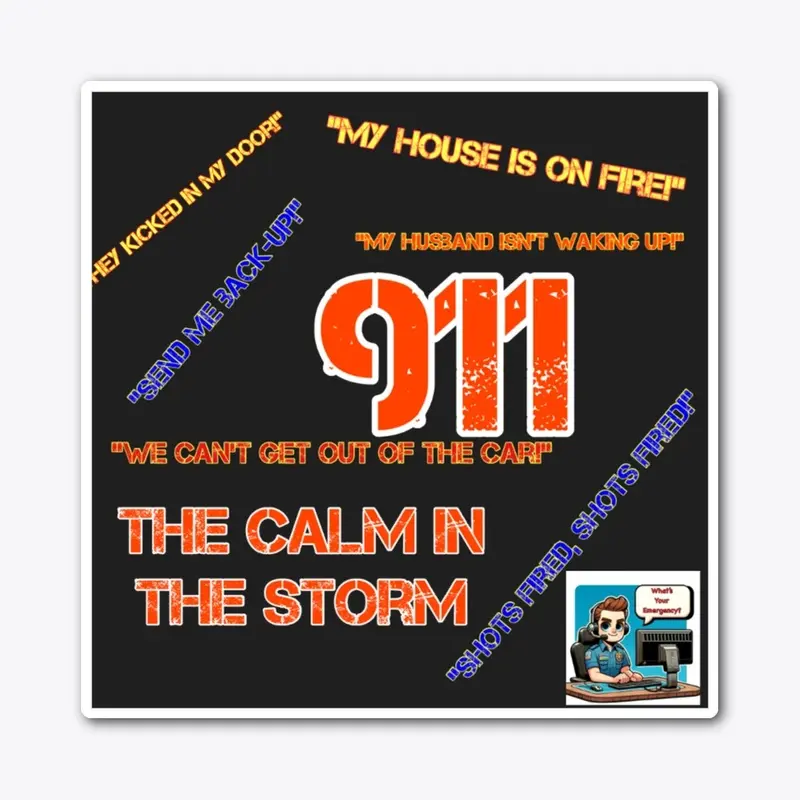 911 the Calm in the Storm