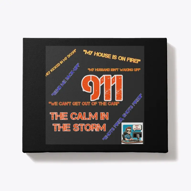 911 the Calm in the Storm